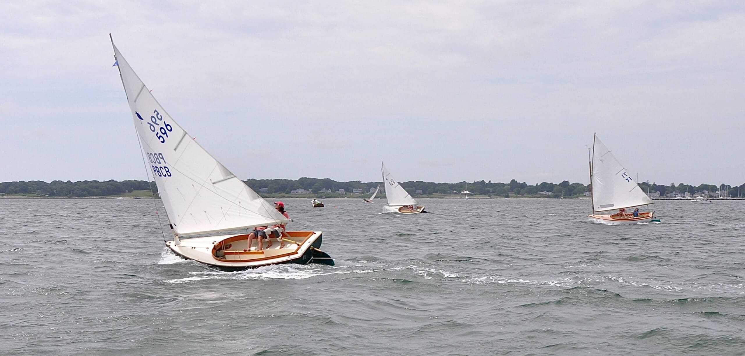 Sandpipers racing in New England